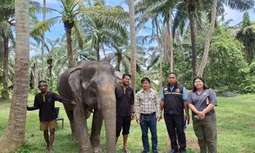 ปศุสัตว์กระบี่ ตรวจประเมินการขอรับรองการปฏิบัติทางการเกษตรที่ดีด้านปศุสัตว์