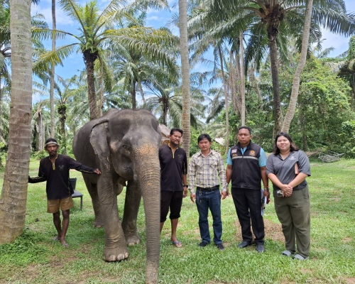 ปศุสัตว์กระบี่ ตรวจประเมินการขอรับรองการปฏิบัติทางการเกษตรที่ดีด้านปศุสัตว์