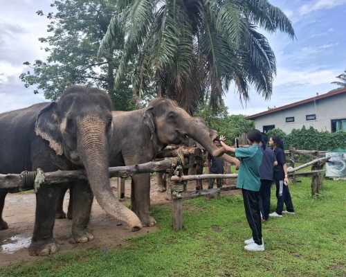 ปศุสัตว์กระบี่ ตรวจประเมินการขอรับรองการปฏิบัติที่ดีทางการเกษตรด้านปศุสัตว์