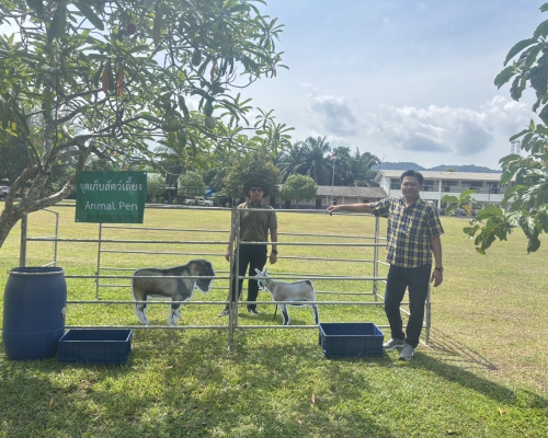 ปศุสัตว์กระบี่ ลงพื้นที่ติดตามโค โครงการธนาคาร โค-กระบือ เพื่อเกษตรกร ตามพระราชดำริ อำเภอเกาะลันตา