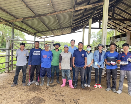 ปศุสัตว์กระบี่ ดำเนินงานตามโครงการตรวจทดสอบโรควัณโรคในฟาร์มโคเนื้อ (Bovine Tuberculosis TB) ประจำปีงบประมาณ 2568