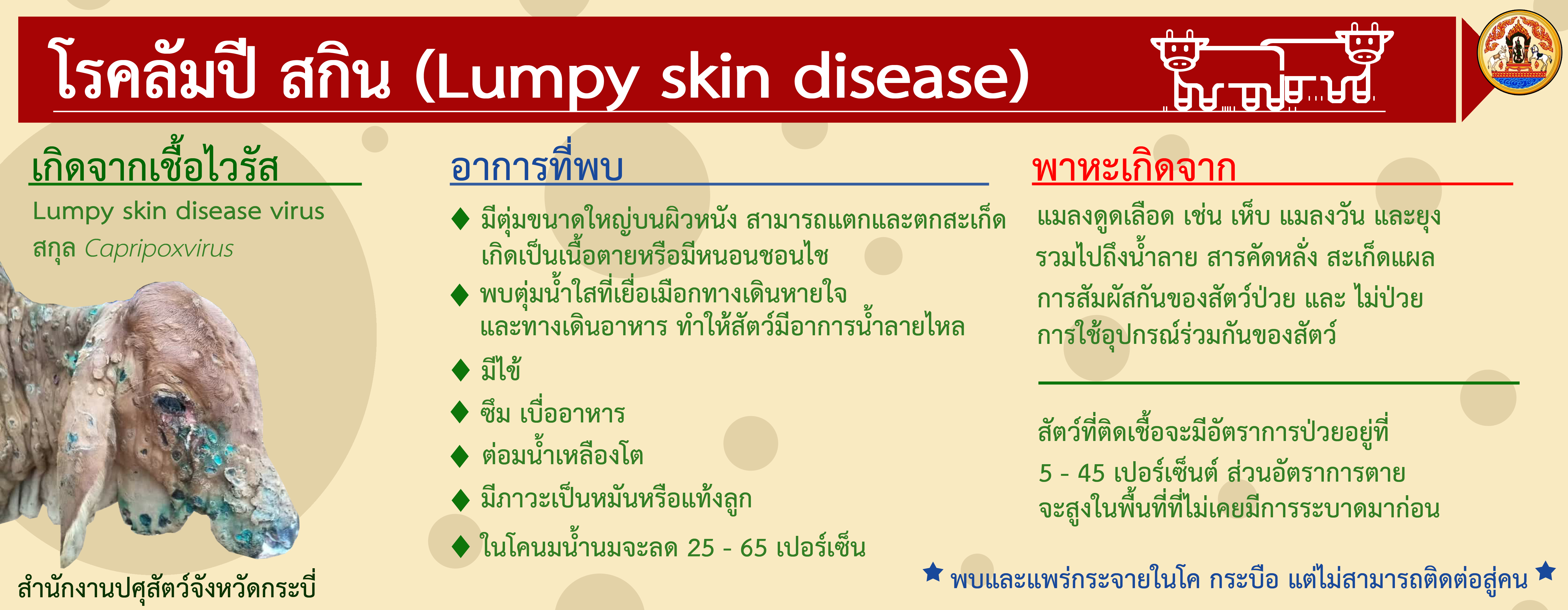 Lumpy skin