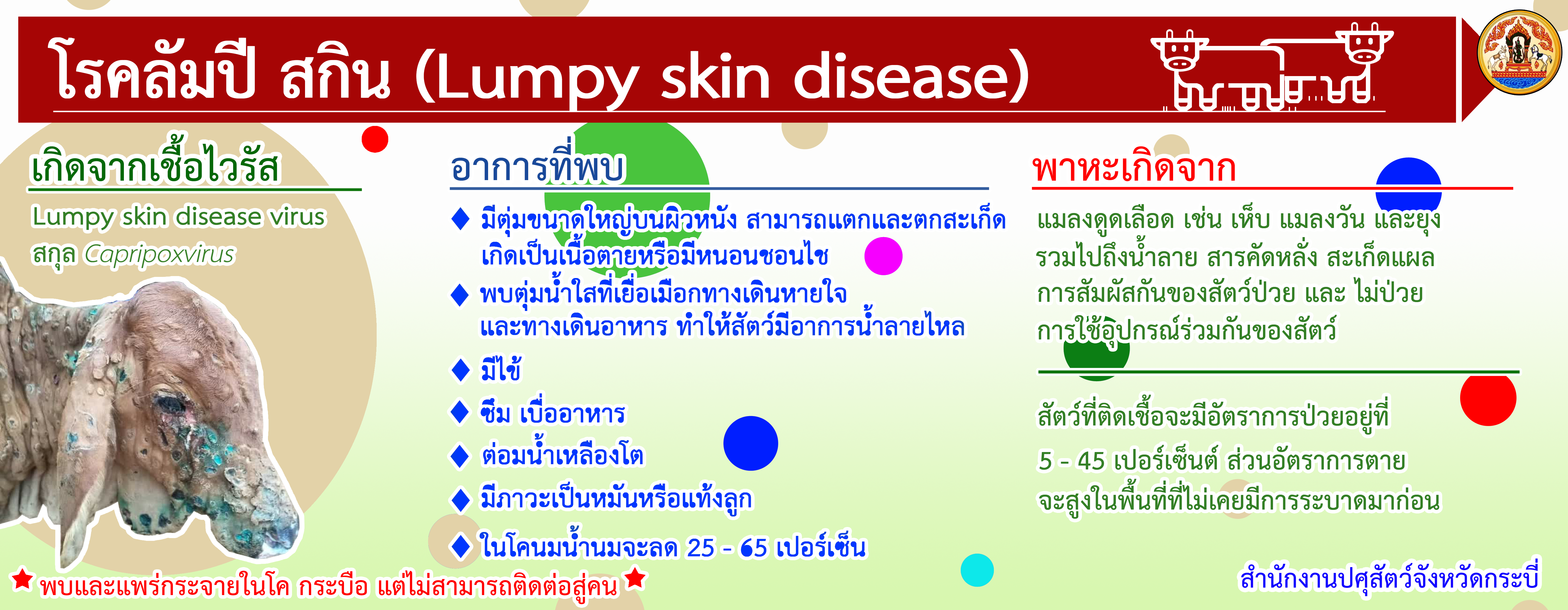 Lumpy skin